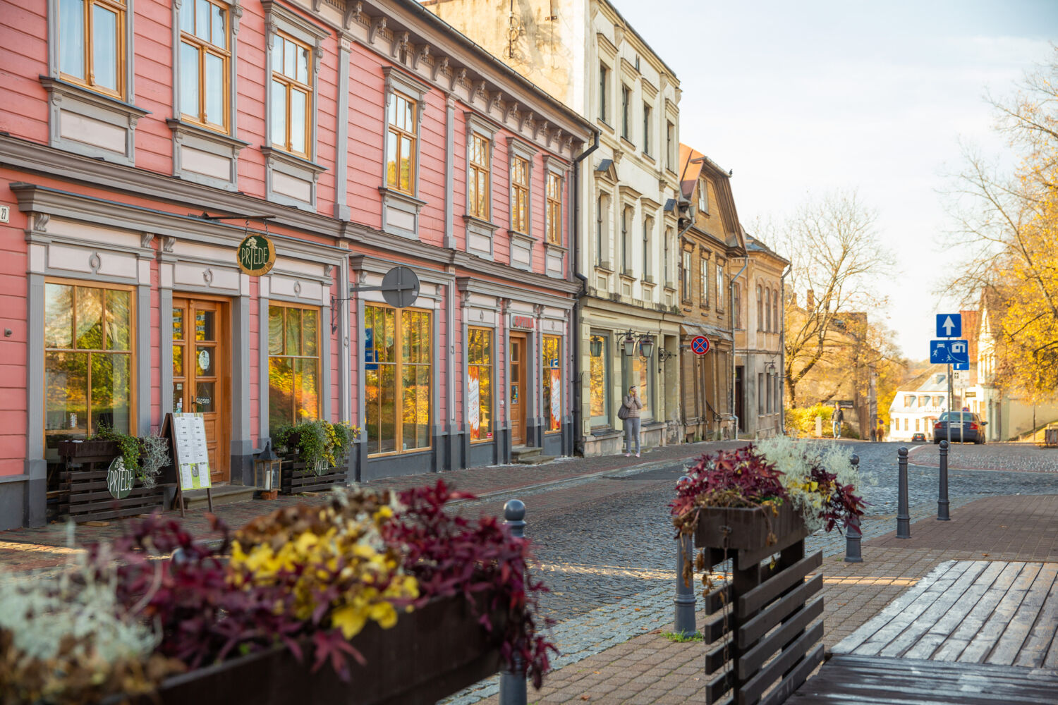 Cesis city